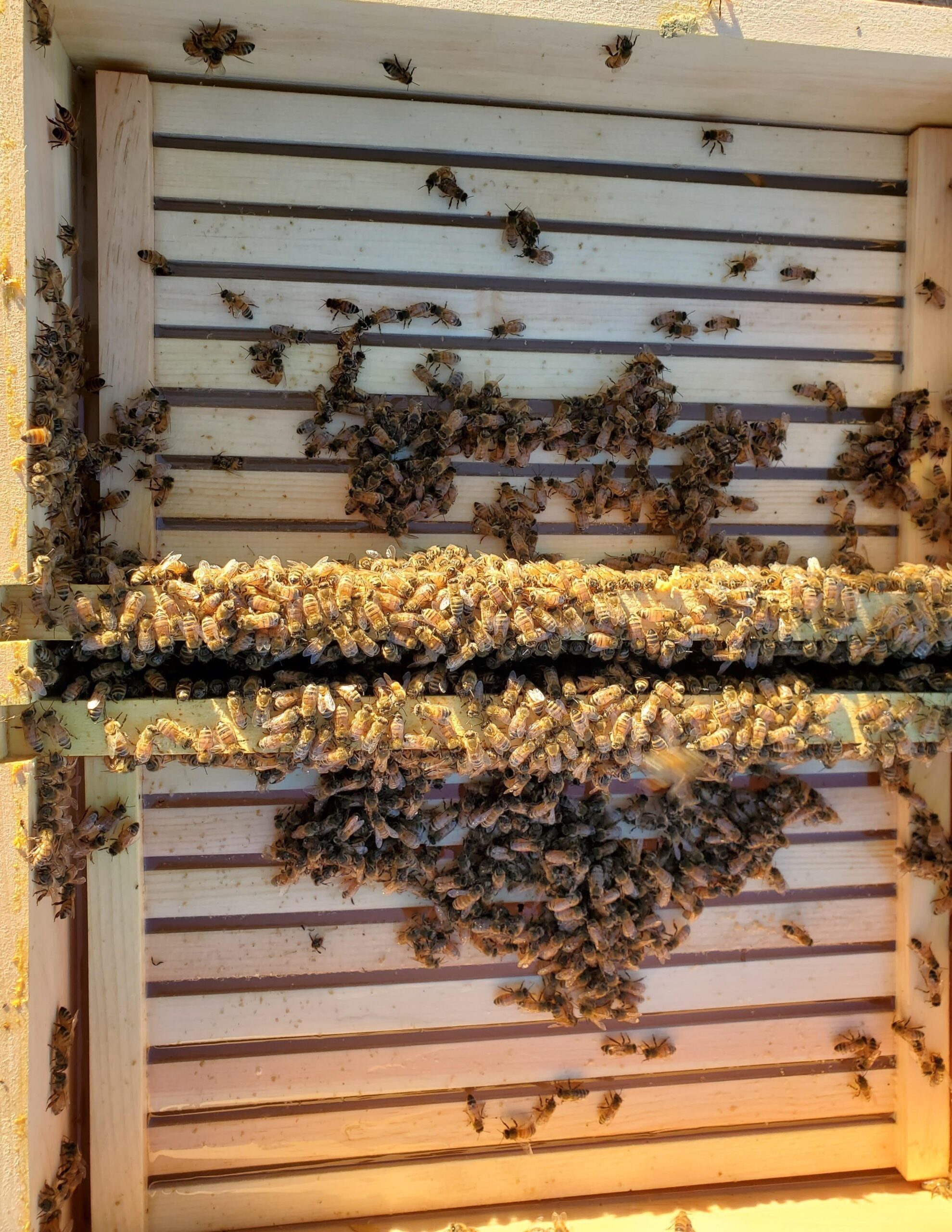 Wooden Top Feeder - 5 Frame for beekeeping bee hive